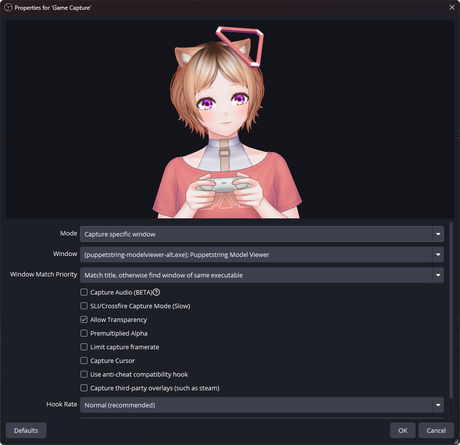 OBS Game Capture Example